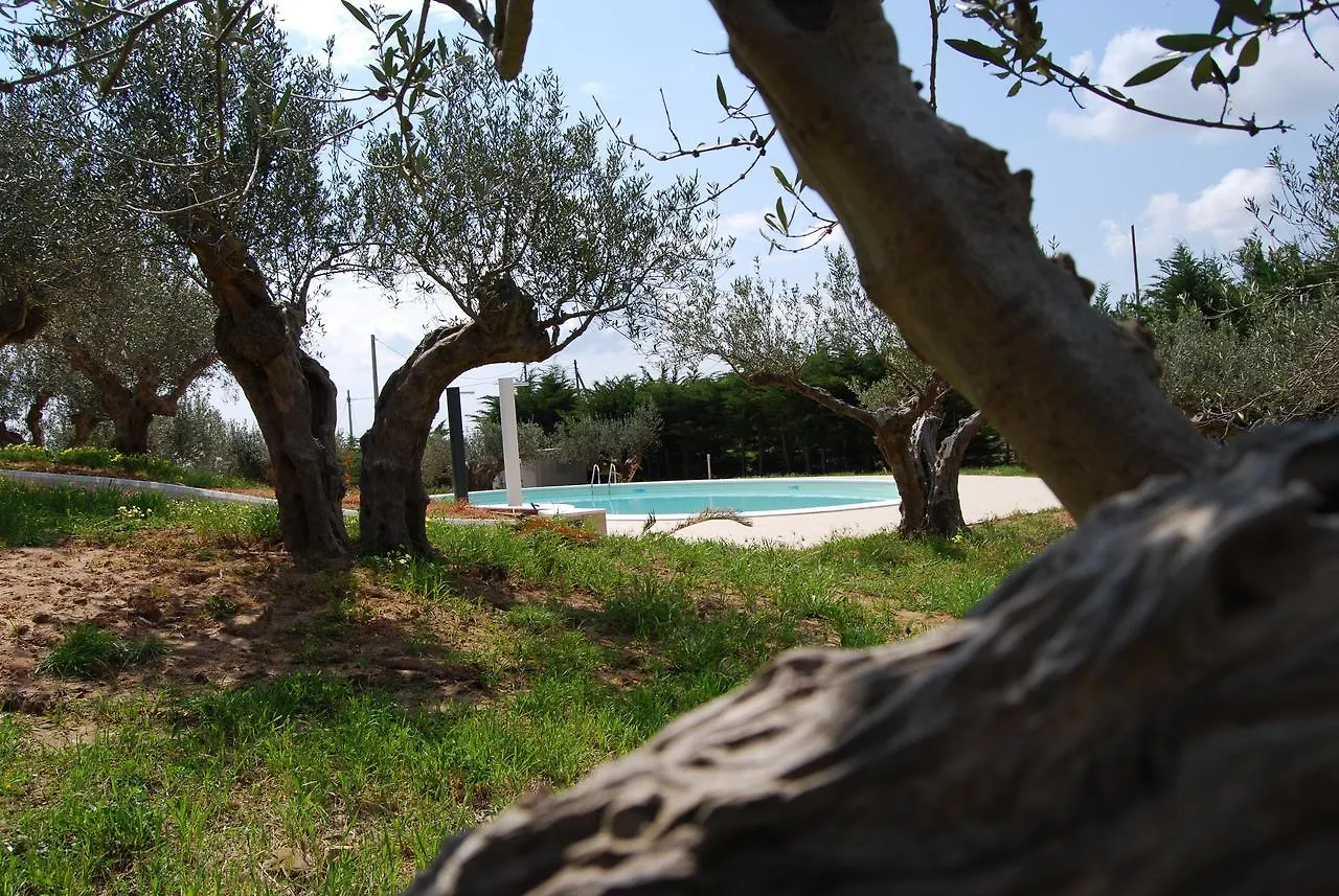 In Sicilia da Ciro Bed and Breakfast Vita